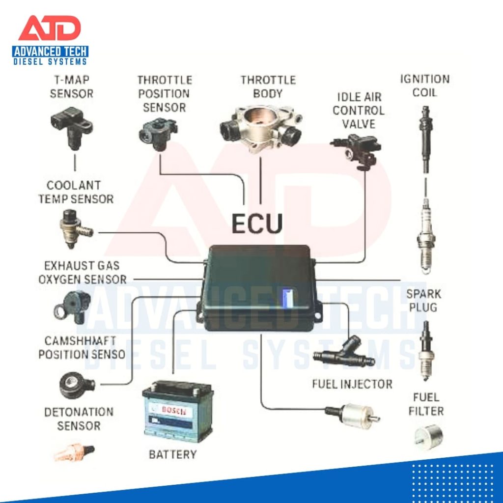 Advanced Sensor & ECU System Diagnostics
